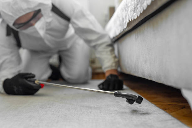 Professional Bed Bug Control technician working in Walton Hills, OH