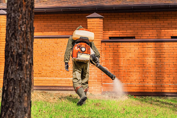Trusted Rodent Control service in Walton Hills, OH - Nex Pest Control